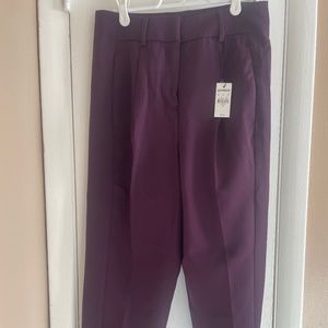 Purple Dress Pants